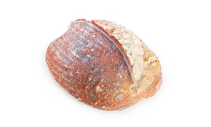 PÃO DE TRIGO – FERMENTAÇÃO 24H
